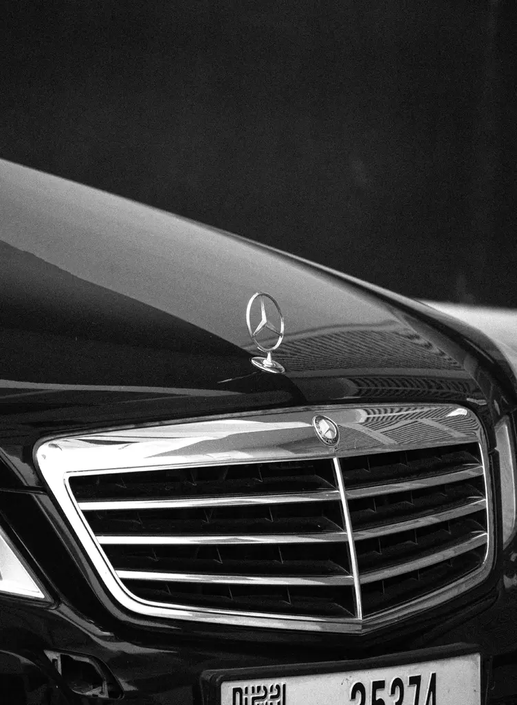 private chauffeur (3)